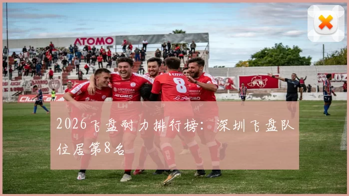 2026飞盘耐力排行榜：深圳飞盘队位居第8名