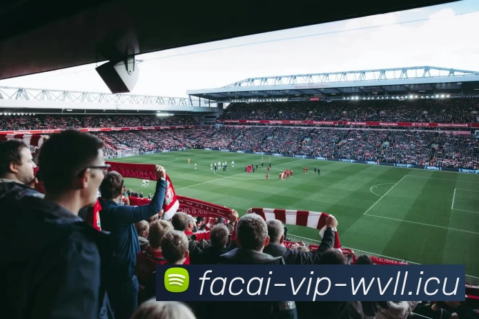 开云体育APP 封面图